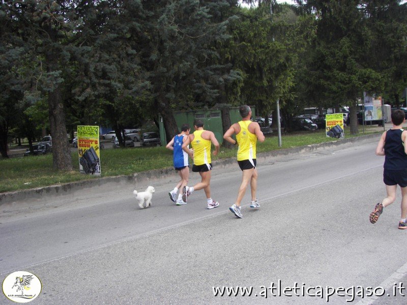 100_4902 (800 x 600).jpg